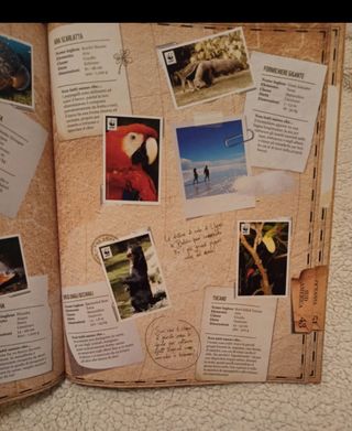 Libro per bambini