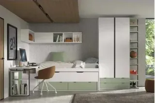 COMPOSICIÓN EVOLUTION F006