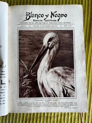 REVISTA “BLANCO Y NEGRO” (1931, marzo-junio)