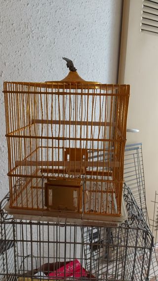 Jaula Dorada..