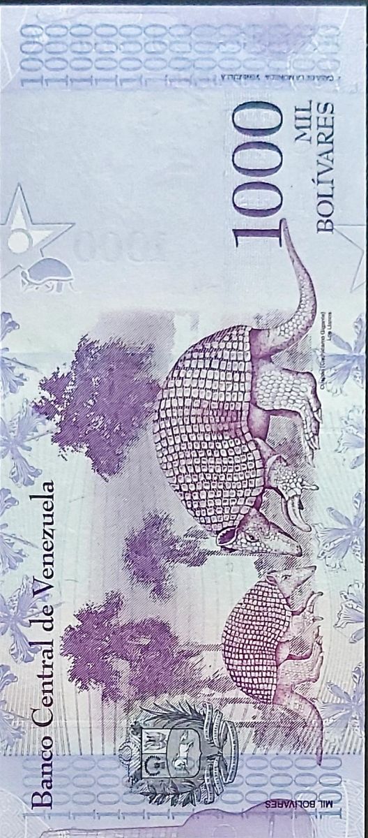 🇨🇴 Venezuela ( 2017 )