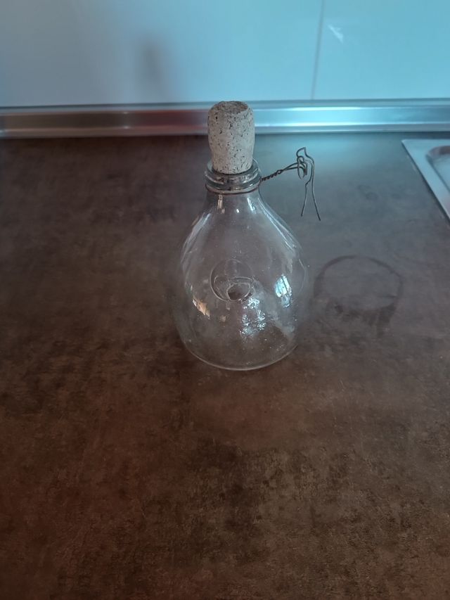 Botella atrapa moscas