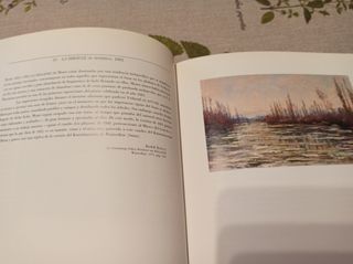 Monet. Museo Español arte contemporáneo