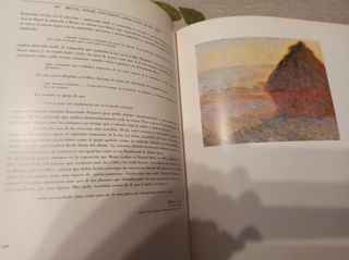 Monet. Museo Español arte contemporáneo