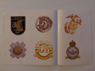 49 pegatinas militares y policiales