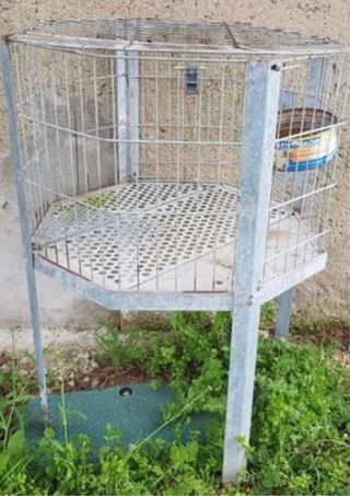Jaula conejo