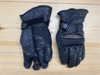 Guntes Harley Davidson de invierno 