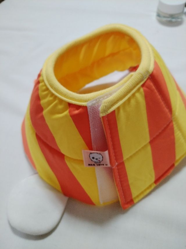 Collar isabelino gato o perro