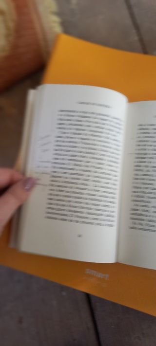 Livro Uma Abelha na Chuva