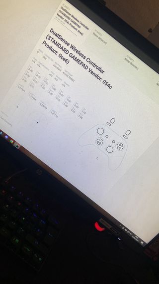 Arreglo Fallos PS5 y PS4
