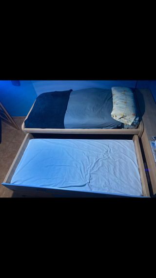 Cama nido