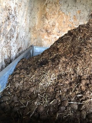 Estiércol abono caballo huertas