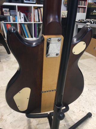 Chitarra Elettrica Vantage VS600 the switch