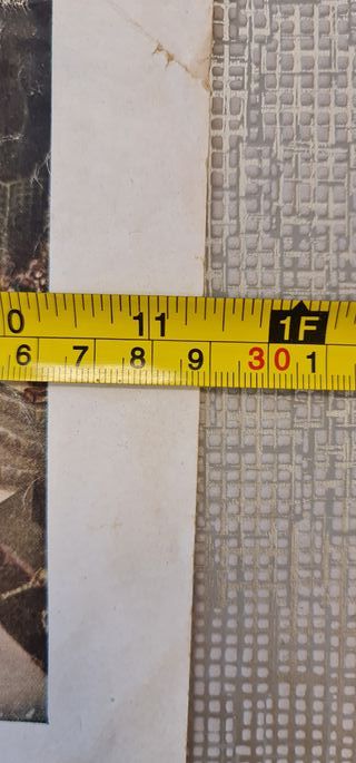 Litografia o lamina antigua Jean Cotelle Versaille