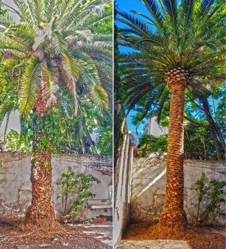 Mantenimiento de jardines y propiedades jardinero