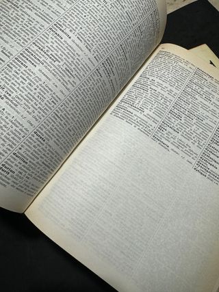 Dizionario francese italiano in due volumi