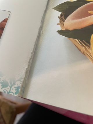 Libro fiori di carta