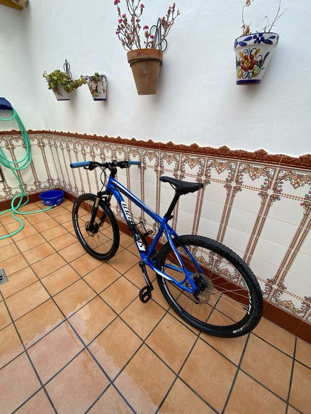 Bicicleta Specialized