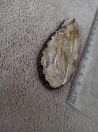 Piedra natural para colgante o broche