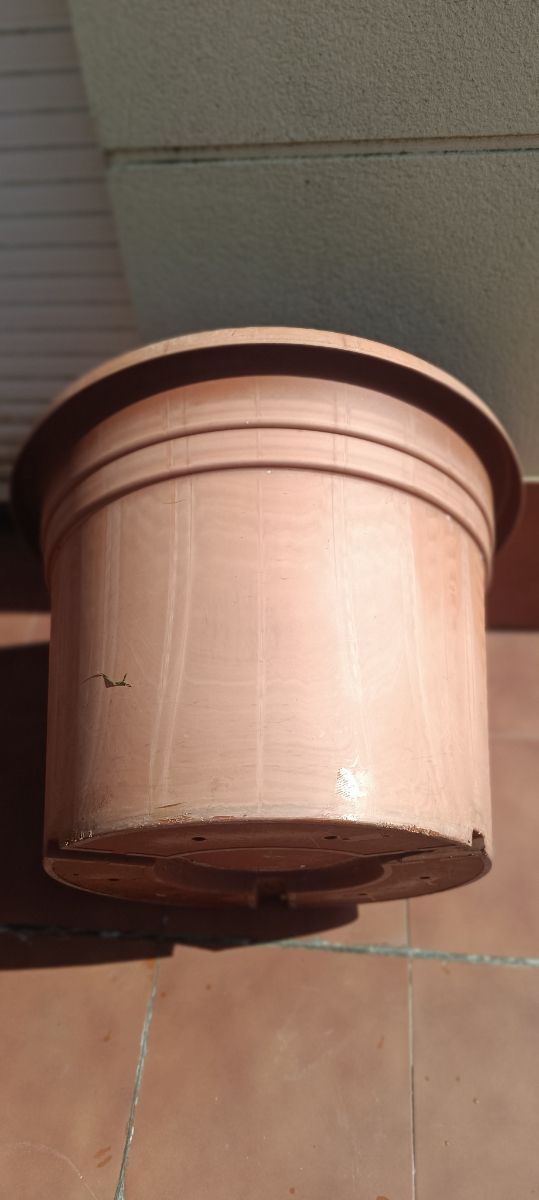 Macetero Grande de plástico