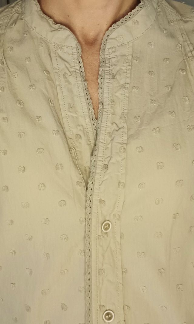 Blusa plumeti Zara. Nueva