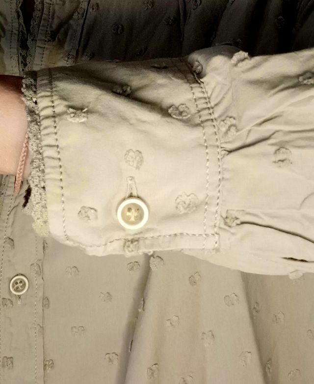 Blusa plumeti Zara. Nueva