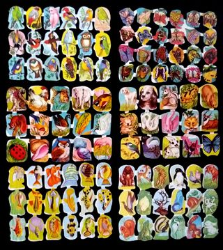 Lámina CROMOS TROQUELADOS Edivas