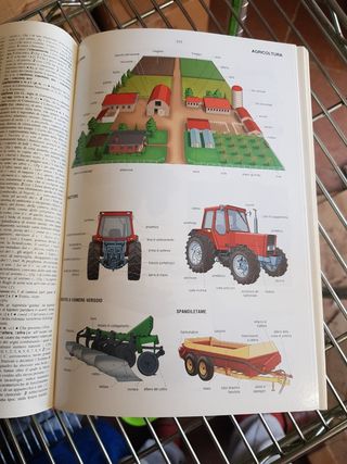 VOCABOLARIO LO ZINGARELLI 1994