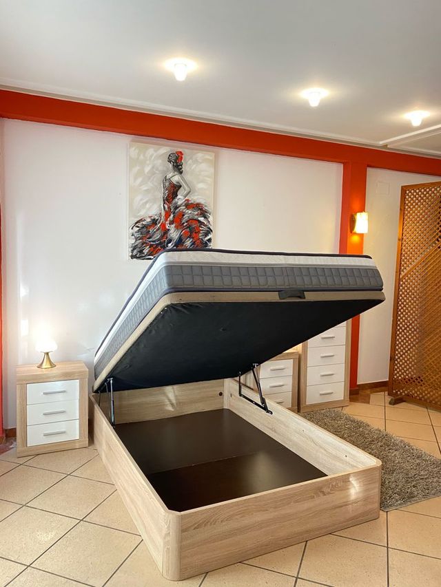 OFERTA CANAPE 220€