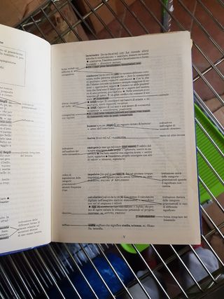 DIZIONARIO ITALIANO LARUS