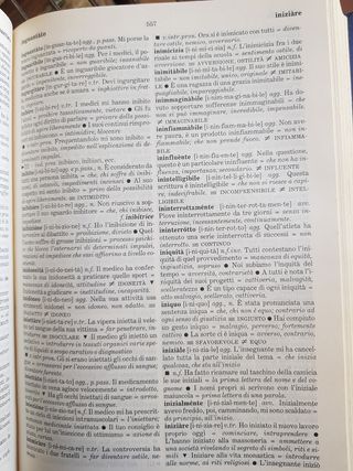 DIZIONARIO ITALIANO LARUS