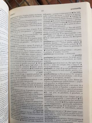 DIZIONARIO ITALIANO LARUS