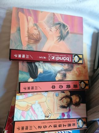 Mangas en japonés