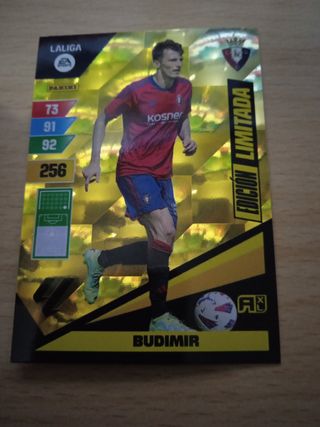 Cromo Adrenalyn 23-24 budimir