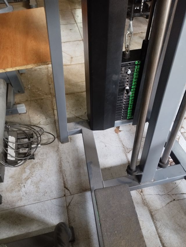 Fondos y Dominadas Asístidas