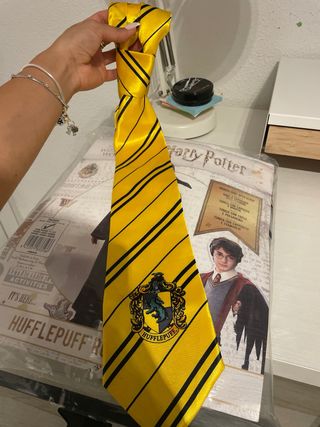 Traje harry potter