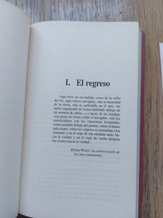 La Balada del Fuego Fatuo. Novela histórica.