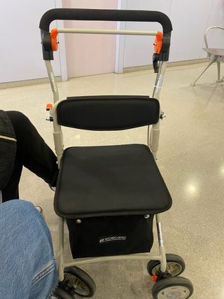 Carrito Andador Nuevo
