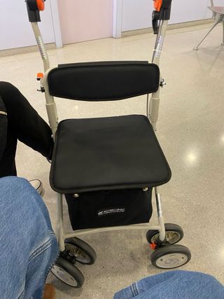 Carrito Andador Nuevo