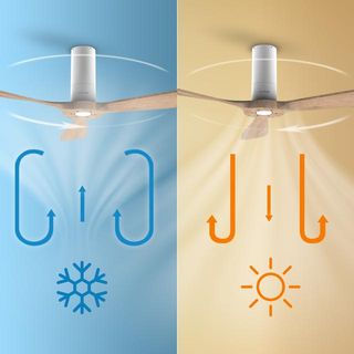 Ventilador de techo