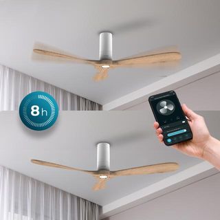 Ventilador de techo