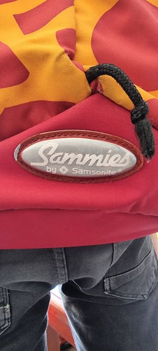 Mochila Samsonite