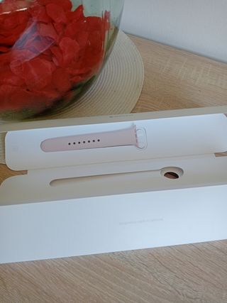 correa Apple watch