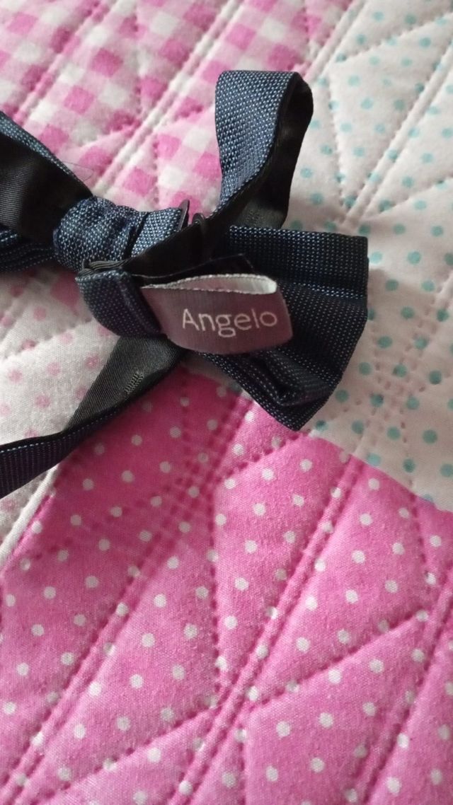 Pajarita Angelo Litrico