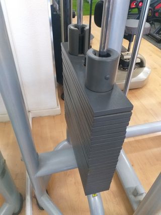 Dominadas asistidas technogym 