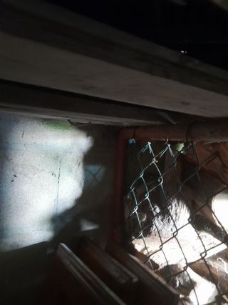 Estructura gallinero o  perrera( Se puede ver )