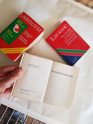 MINI DIZIONARI ITALIANO FRANCESE
