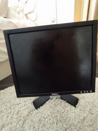 Monitor ordenador