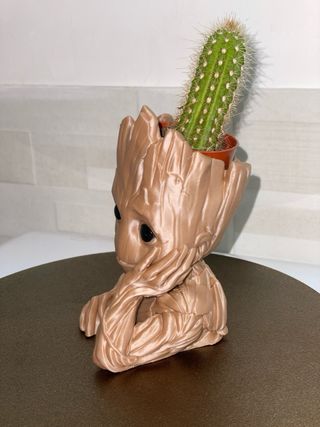 Groot vasetto