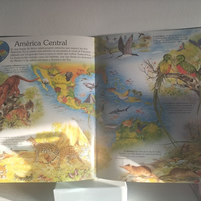 Atlante degli animali per bambini